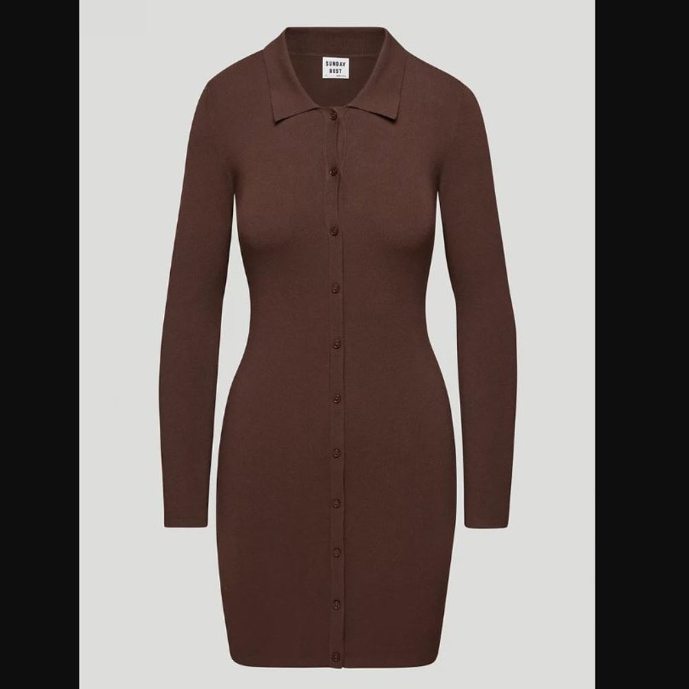 Aritzia Long Sleeve Button-Front Knit Dress in Brown